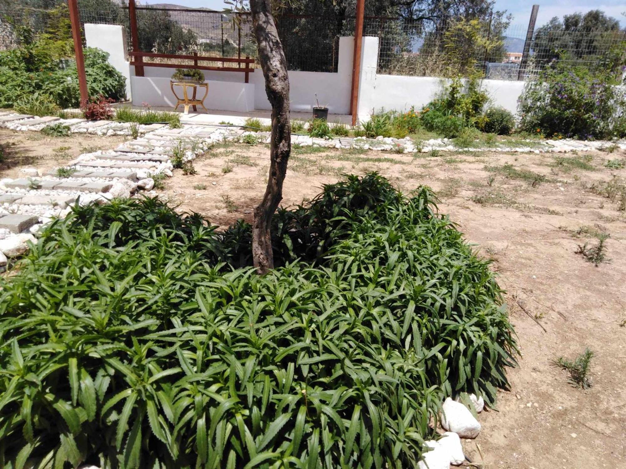 Alexadra'S House Κάτω Αλμυρή Apartment ภายนอก รูปภาพ